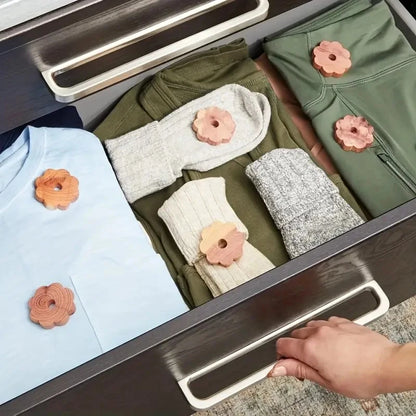 Anneaux antimite en bois de cédre | Naturéco™